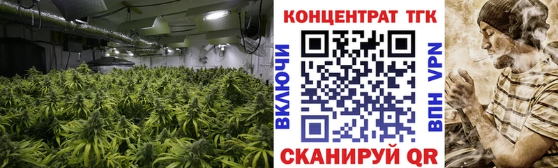 hydra ONION  Высоцк  Дистиллят ТГК Wax 